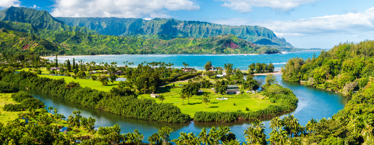 Lush greenery and winding river view
